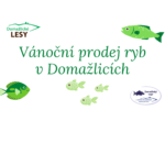 Vánoční prodej ryb