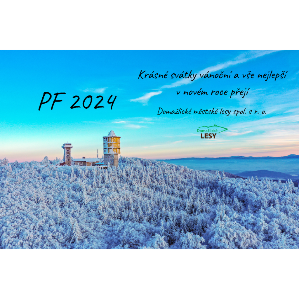 PF 2024